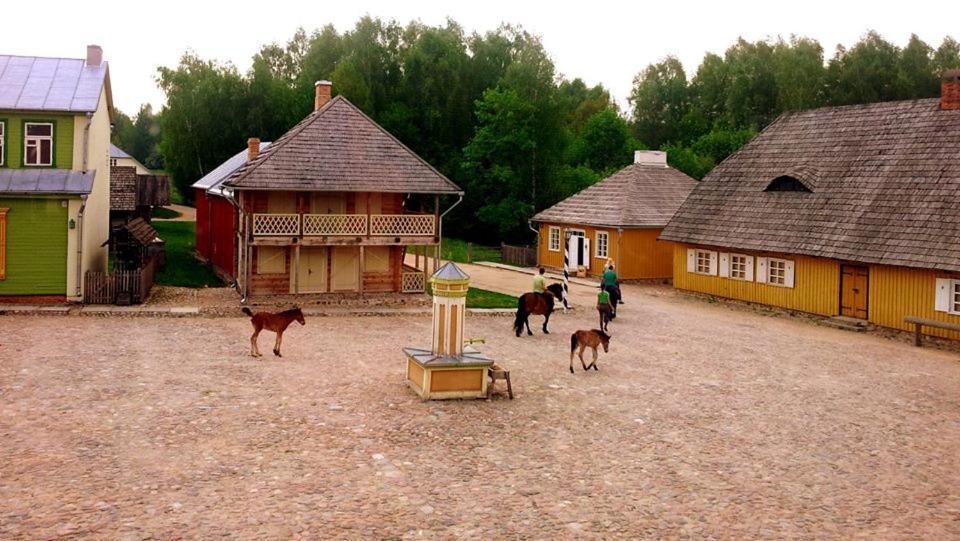 Stay At Lithuanian Folk Museum Rumsiskes Dış mekan fotoğraf